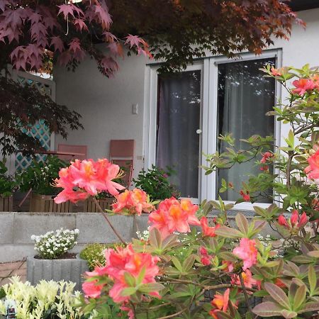 Haus Magnolia 2 Apartman Kandern Kültér fotó