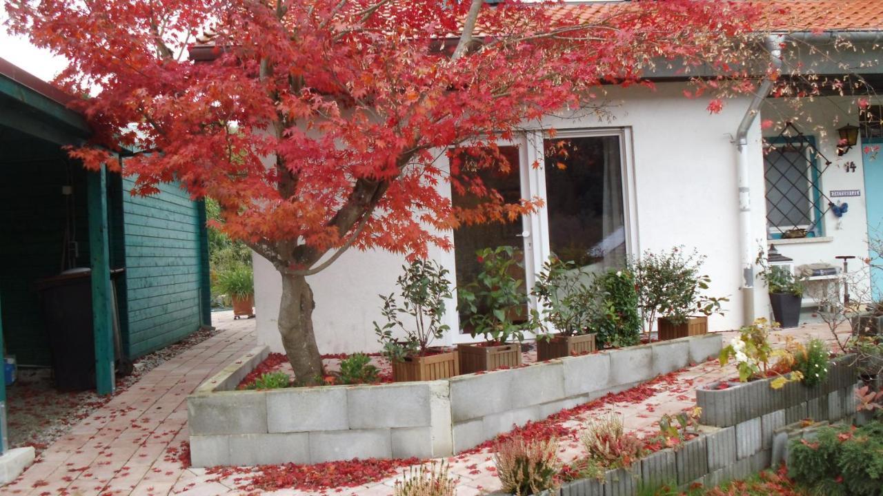 Haus Magnolia 2 Apartman Kandern Kültér fotó