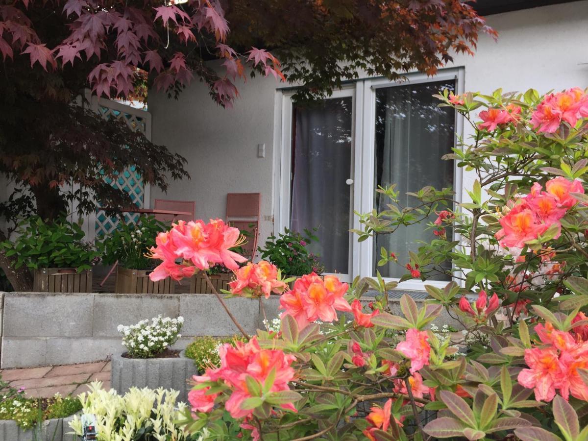 Haus Magnolia 2 Apartman Kandern Kültér fotó